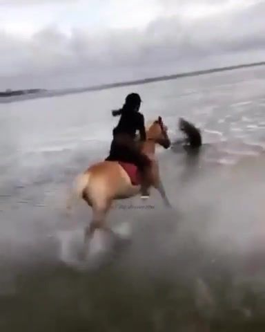 Horses, Horseride, Beach, Nature Travel