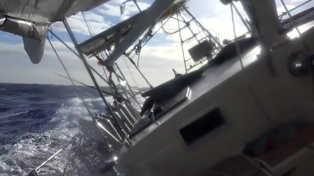 Sailing in BIG WIND and WILD SEAS, Sailing, Sailing Sport, Sailing Around The World, Cruising, Yacht, Sailboat, Sailboat Ship Type, Sailor, Life On A Yacht, Travel Documentary, Travel, Adventure Documentary, Adventure, Rough Seas, Circumnavigate, Ketch, Sail, Boat, Blue Water Cruising, Sailing For Beginners, Single Handed Sailing Film Subject, Storm, Islands, Marine, Fishing, Sv Delos, Amel Super Maramu, Seven Seas, Diving, Remote Diving, Underwater Photography, Delos, Ocean, Navegaci'on, Nature Travel