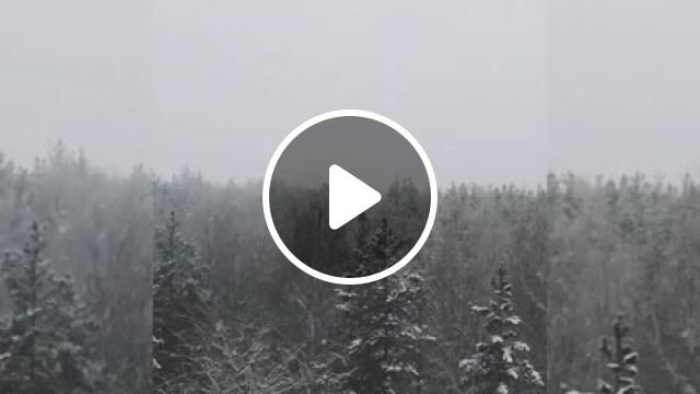 Snow woods, Nature Travel
