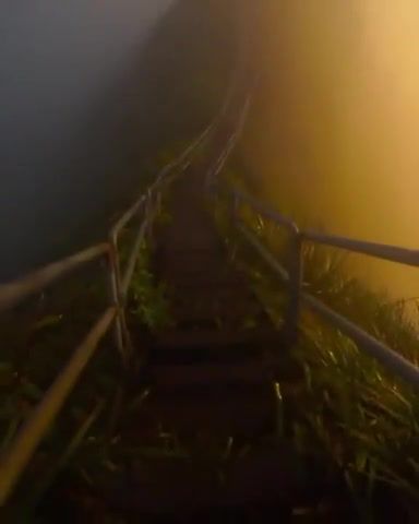 Stairway to Heaven, Haiku Stairs, Haiku, Stairway To Heaven, Stairwaytoheaven, Stairway, Nature, View, Amazing View, Amazingview, Amazing Views, Amazing, Travel, Tycho, Walk, A Walk, Nature Travel
