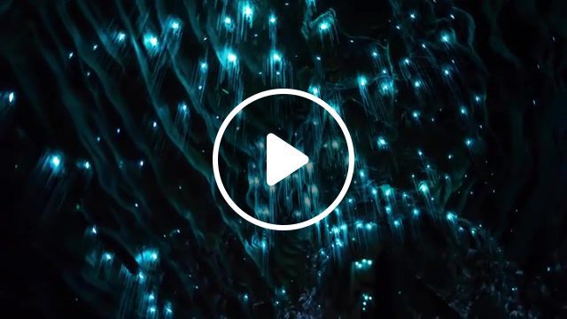 Worms That Glow In The Dark, Best Vines, Funny Vines, Funny, Funniest, Nature Travel