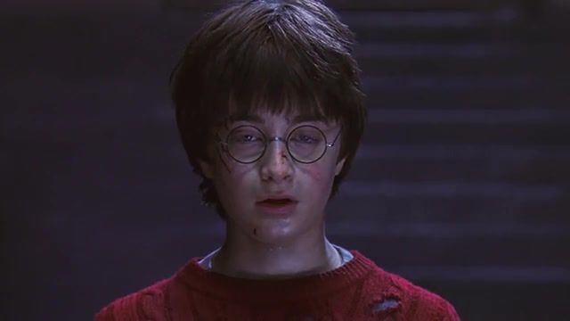 What do you see Harry - Video & GIFs | mashups,mashup,hybrid,hybrids,funny,harry potter,hermione,hermione granger,harry potter and the philosopher's stone,the perks of being a wallflower,lol,mem,memes,edit by shkudi,shkudi,music,romantic,emma watson,daniel radcliffe