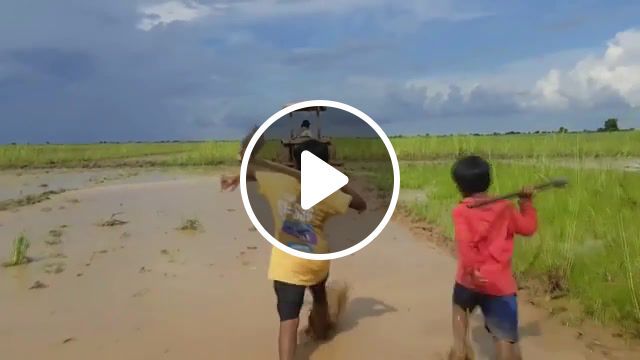 Brother, two boys dug out the biggest snake in this hole, the biggest snake in the world, how to catch a big snake, shock, the biggest, animal, shark, snake, giant animals, the biggest fish, in the world, the longest snake in the world, the largest. #0