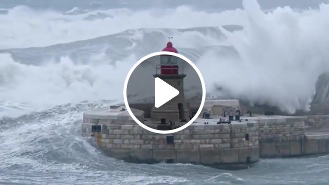 S ormboom, storm, lighthouse, boom, nature travel. #1