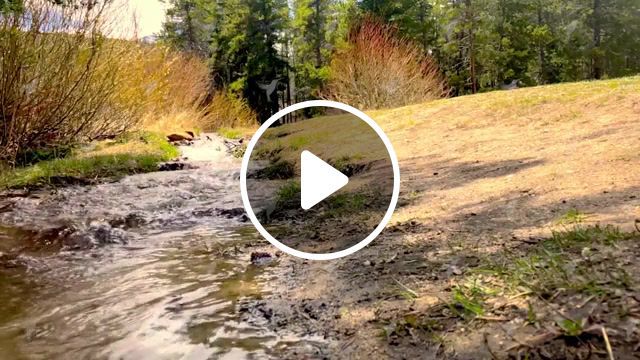 Summer walking, trip, river, water, slow, wow, nice, nature, cinemagraph, cinemagraphs, eleprimer, live pictures. #0