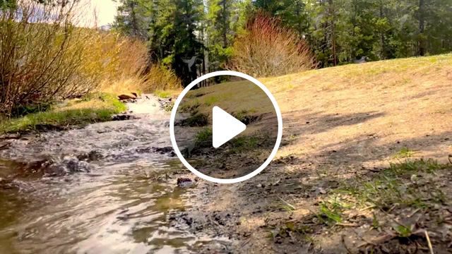 Summer walking, trip, river, water, slow, wow, nice, nature, cinemagraph, cinemagraphs, eleprimer, live pictures. #1