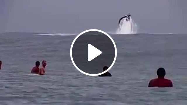 Wave riding with a huge whale, sport, whale, ocean, surfing waves, nature travel. #0