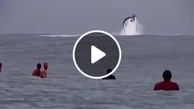 Wave riding with a huge whale, sport, whale, ocean, surfing waves, nature travel. #1