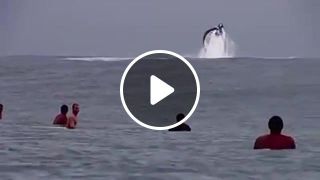 Wave riding with a huge whale