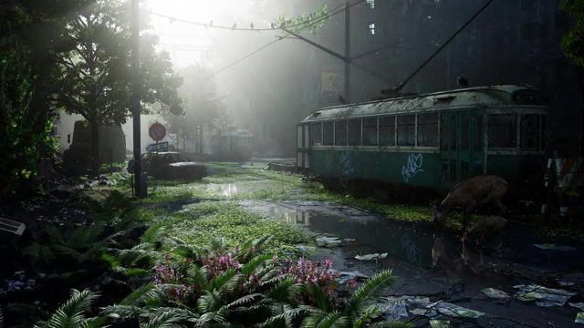 Apocalypse, Last Of Us, Humanity, Empty, Mossy, Lost, Regeneration, Nature, Earth, Acoustictrench, Regen, Nature Reclaims, Postapocaliptic, Relax, Chilling, Relaxing, Chill, Nature Travel
