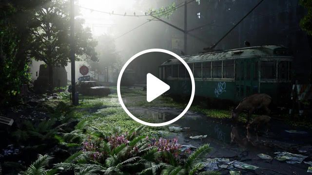 Apocalypse, last of us, humanity, empty, mossy, lost, regeneration, nature, earth, acoustictrench, regen, nature reclaims, postapocaliptic, relax, chilling, relaxing, chill, nature travel. #0