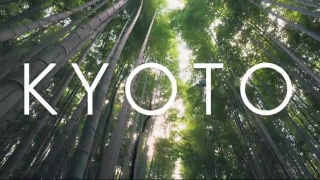 Japan, Clozee Koto, Japan, Tokyo, Kioto, City, Sakura, Kyoto, Travel, Nature Travel