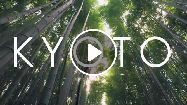 Japan, clozee koto, japan, tokyo, kioto, city, sakura, kyoto, travel, nature travel. #0
