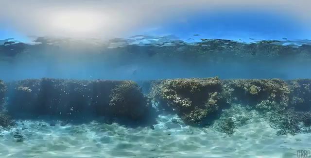 Reef diving in queensland, australia, eleprimer, cinemagraphs, cinemagraph, water, deep, orbo, loop, underwater, nature, live pictures.