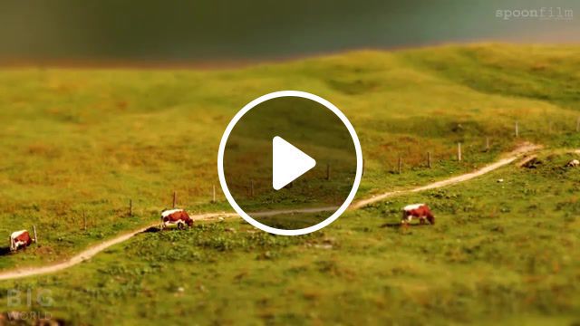 Cow yodel, ethnic, grland, yodel, cow, austrian alps, time lapse, nature travel. #0