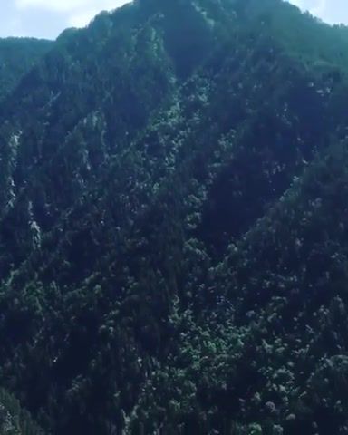 Heleus Forest - Video & GIFs | m effect andromeda,georgia,tusheti,john paesano,nature travel