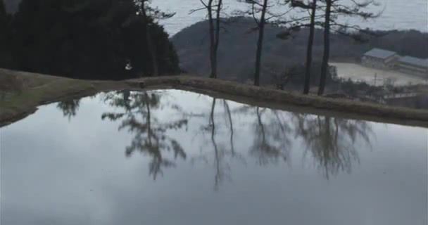 Hirokazu koreeda - Video & GIFs | hirokazu koreeda,illusion,illusionary light,na companion t lovel