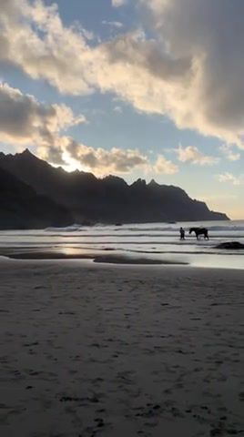 Horse, Horse, Tenerife, Ocean, Sea, Waves, Beautiful, Sun, Sunset, Nature Travel