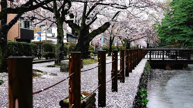 Rainy day in japan, ambient, trip, cool, cut, cinemagraph, cinemagraphs, eleprimer, weather, live pictures.