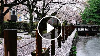 Rainy day in Japan