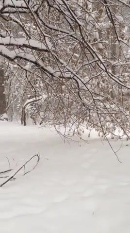 Snow, Nature Travel