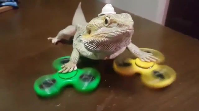 Spinner, Animals And Pets, Fidget Spinners, Fidget Spinner, Lizard, Ololopyshpysh Fm, Capone I Need Speed, I Need Speed, Capone