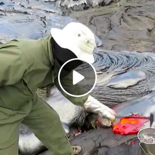 This is how geologists collect lava samples from an active volcano