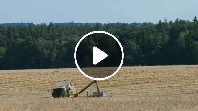 Wheat must flow, combine, wheat, ukraine, nature travel. #0