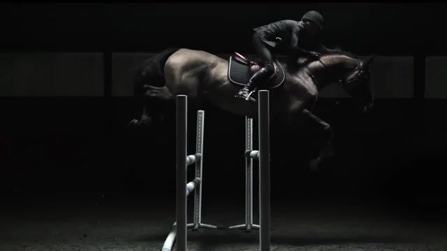 Horse Jumping, World Championships, Sports