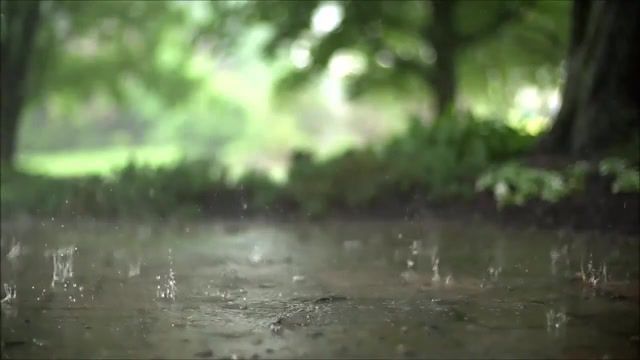 The power of the rain, Music, Forrest, Evanescence, Rain