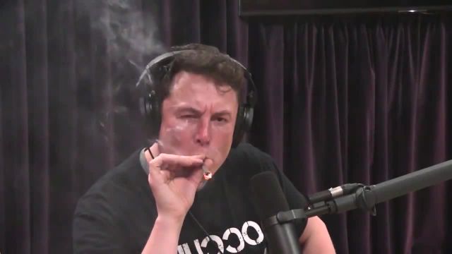 What is going on inside Musk's head memes