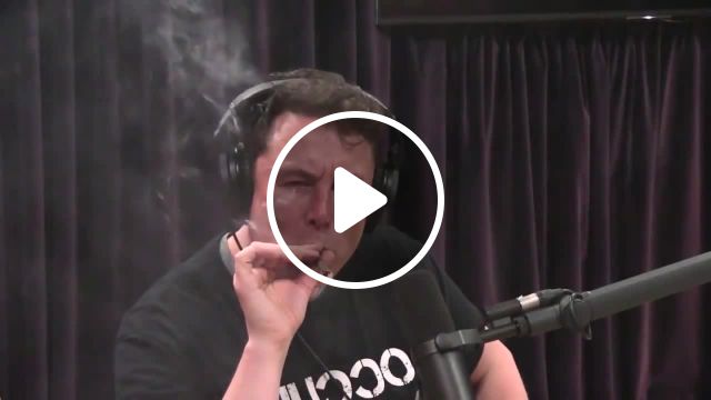 What Is Going On Inside Musk's Head Memes - Video & GIFs | Elon musk memes, musk memes, what is going on inside their head memes, joe rogan experience memes, joe rogan memes, musk smoking memes, smoking memes, земляне трава у дома memes, dr. dre ft. snoop dogg kurupt nate dogg the next episode memes, funny memes, thug life memes, deep fake memes
