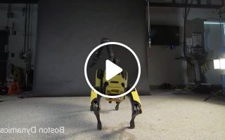 Sexy robot meme