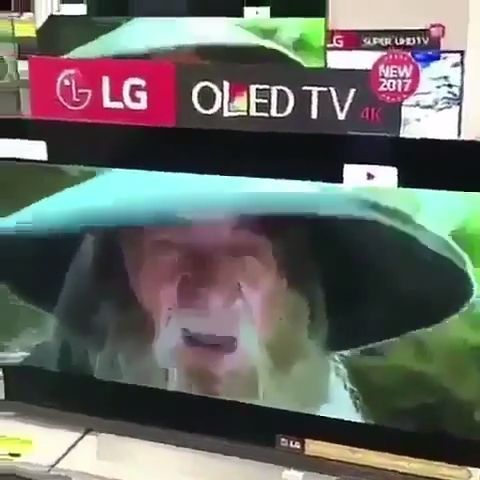 Gandalf Everywhere. Gandalf. Television. Funny.