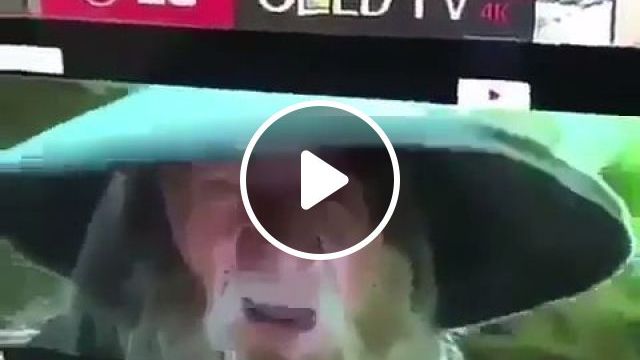 Gandalf Everywhere - Video & GIFs | gandalf, television, funny