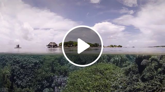 Beautiful Nature GIFs - Video & GIFs | beautiful nature gifs, underwater beauty, beautiful island 