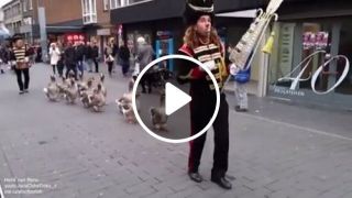 The geese parade
