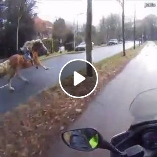 Biker helps lady catch her runaway horse