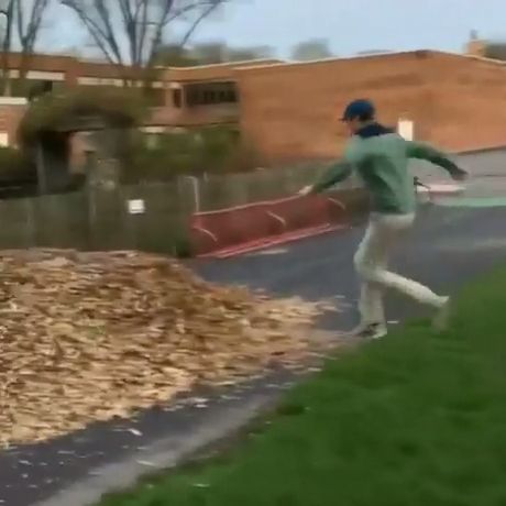 Jumping into a pile of leaves, funny, funny fails, pile of leaves, jump.
