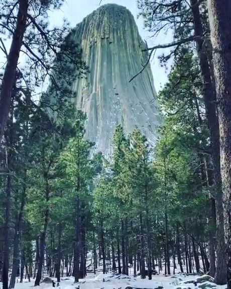 Devils tower national monument, devils tower legend, devils tower tree, beautiful nature.