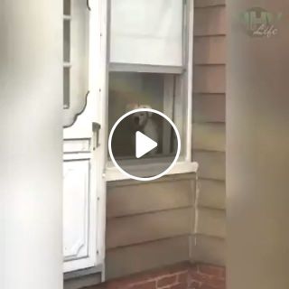 No One Is Breaking Into This House