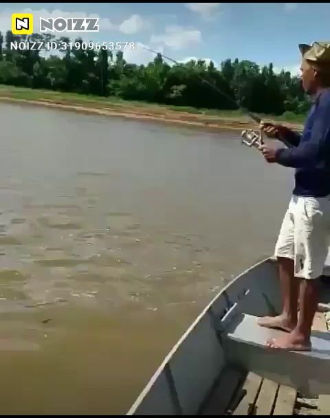 Jumping Fish Funny, Funny, Go Fishing, Best Funny Fishing