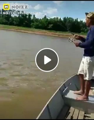 Jumping Fish Funny