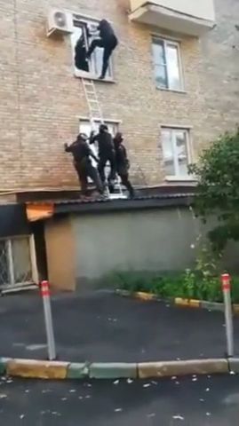 Be careful!, funny, funny gifs, police, wall, window, ladder.