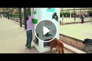 Recycling bottles in this machine feeds stray dogs