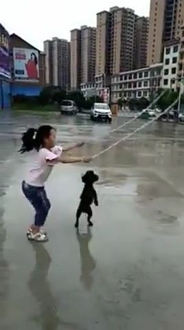 Man's Best Friend - Video & GIFs | funny dog videos,funny pet videos,skipping rope