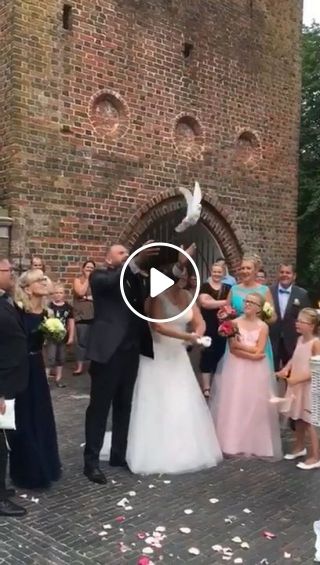 Funny - dove release wedding tradition