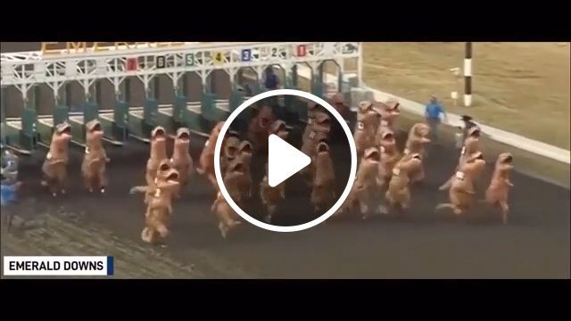Petition to end horse racing for this., reddit, funny, petition to end horse racing for this. #0
