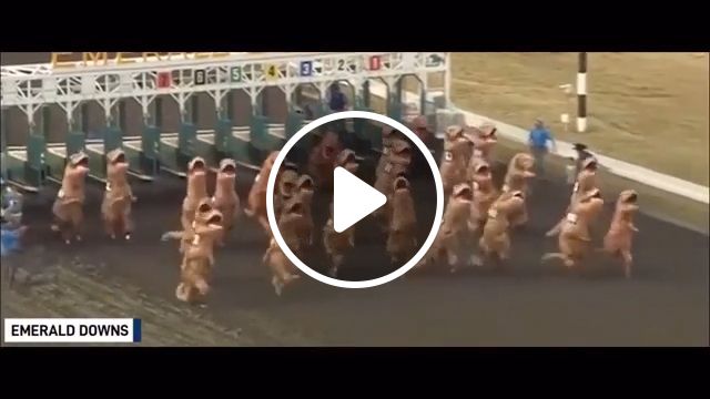 Petition to end horse racing for this., reddit, funny, petition to end horse racing for this. #1