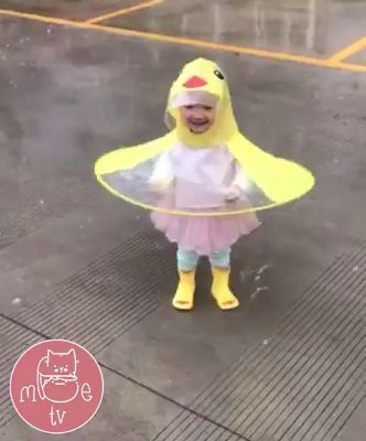It's fun to have fun in the rain, duck, baby, cute, funny.
